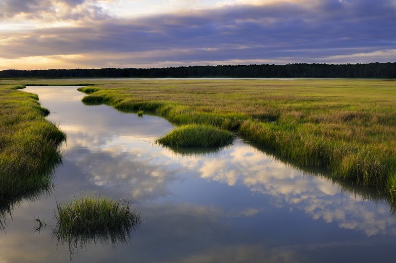 A winding tidal marsh creek reflecting clouds and evening light in Jacksonville, NC.